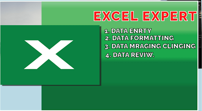 Gig Preview - Clean marge, format, split, data entry excel and ms