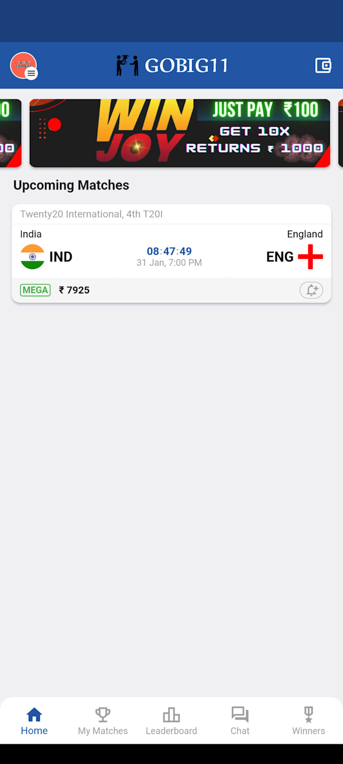 Gig Preview - Provide you fantasy cricket app live dream 11 android and ios