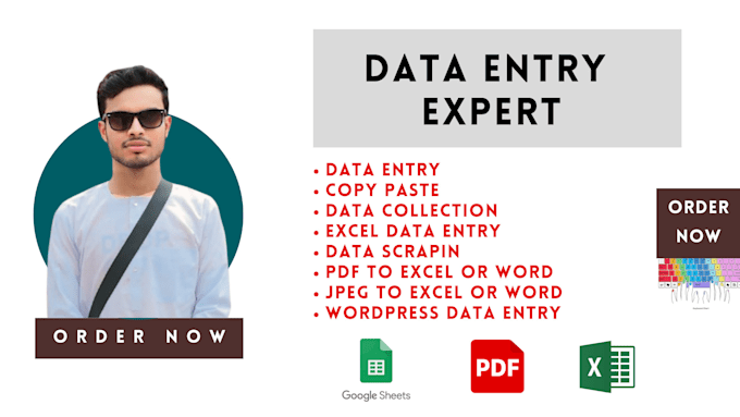 Gig Preview - Do fast accurate data entry and collection