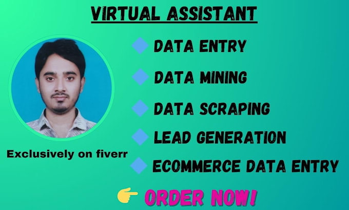 Bestseller - be your virtual assistant for data entry, data mining work