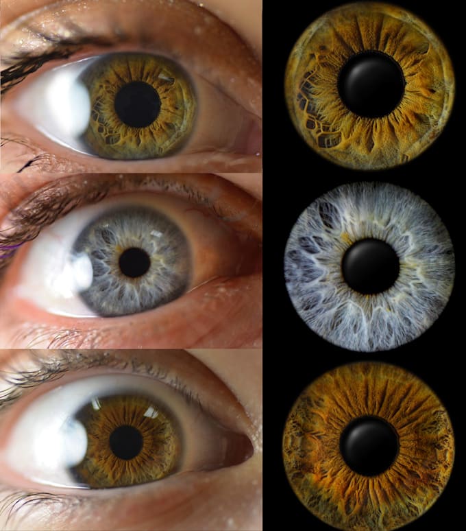 Gig Preview - Turn your iris photo into a unique digital art