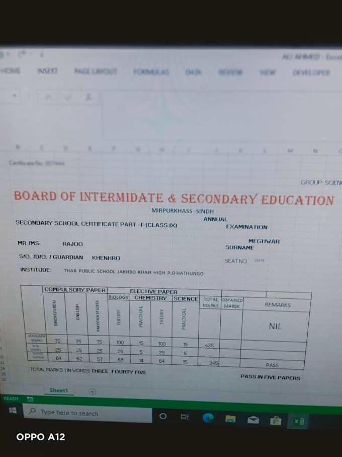 Gig Preview - Clean, format, merge, split, excel data