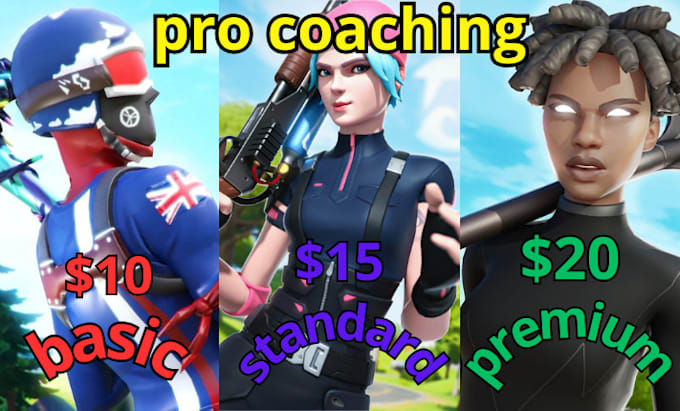 Gig Preview - Be your professional coach