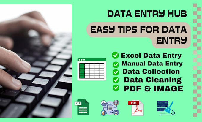 Gig Preview - Do fast and accurate data entry in excel or google sheets