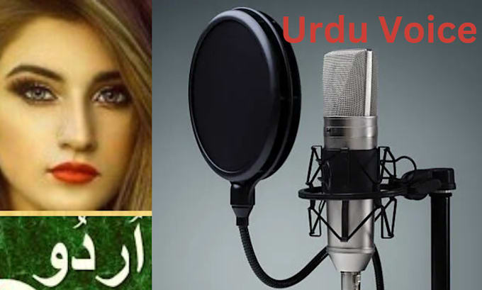 Gig Preview - Do record a professional urdu voiceover