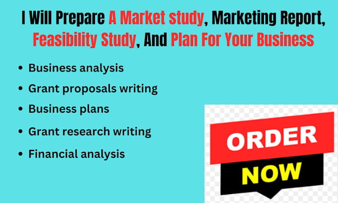 Gig Preview - Do market study, marketing report, feasibility study, and plan for your business