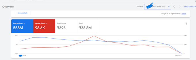 Gig Preview - Setup ,manage and optimize your google ads