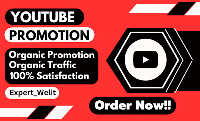 Gig Preview - Organic USA youtube promotion USA channel video promotion