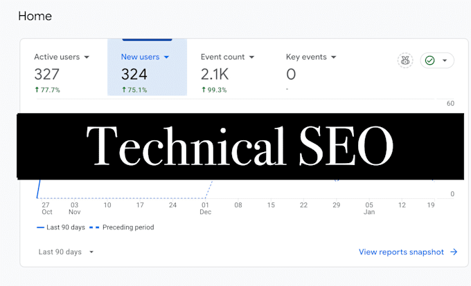 Gig Preview - Do technical SEO for your website