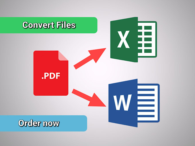 Gig Preview - Professionally convert PDF to excel or word