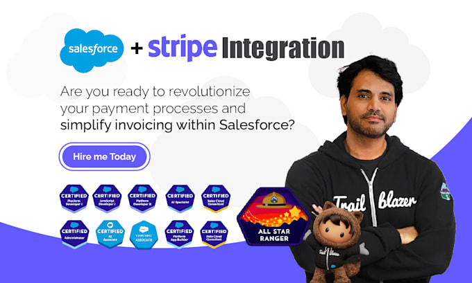 Gig Preview - Streamline your payments and invoicing with stripe salesforce integration