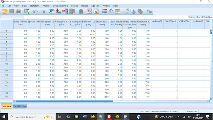 Gig Preview - Do spss, jasp, and algebra tasks