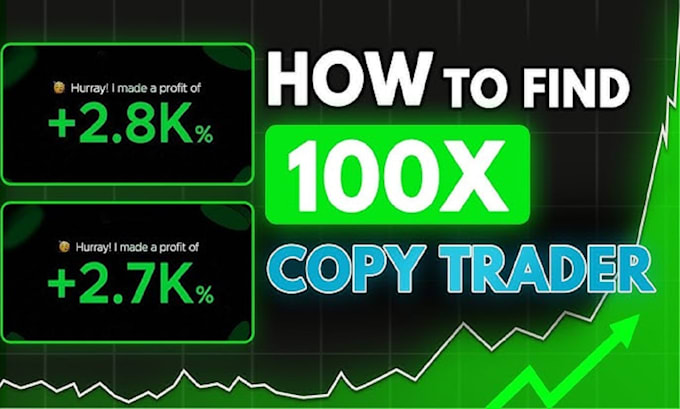 Gig Preview - Do copy trading bot, solana volume bot, solana copy trading bot, copy trade bot