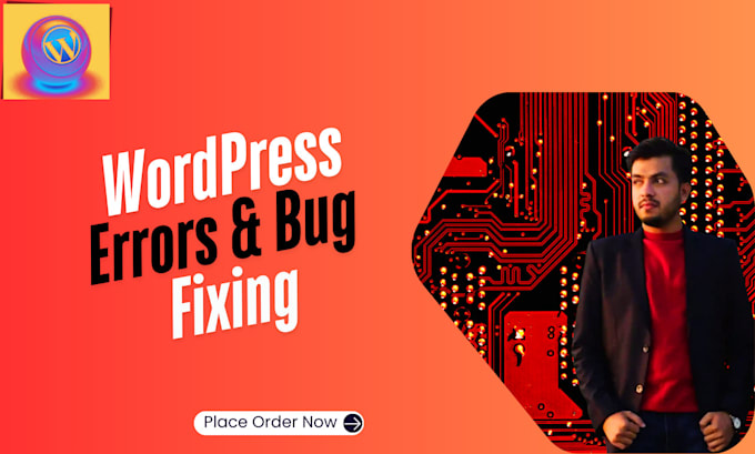 Gig Preview - Do wordppess issues and wordpress errors,bug fixing