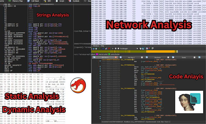 Bestseller - do static dynamic malware analysis with technical report