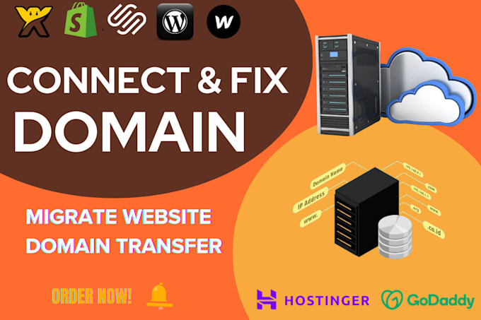 Gig Preview - Connect domain fix dns errors and migrate wordpress site