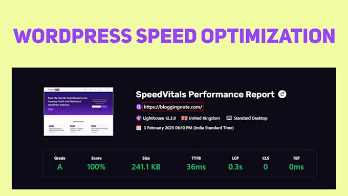 Gig Preview - Fix your slow wordpress website