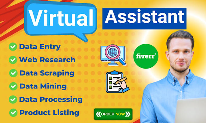 Gig Preview - Professional data entry, web research and product listing services