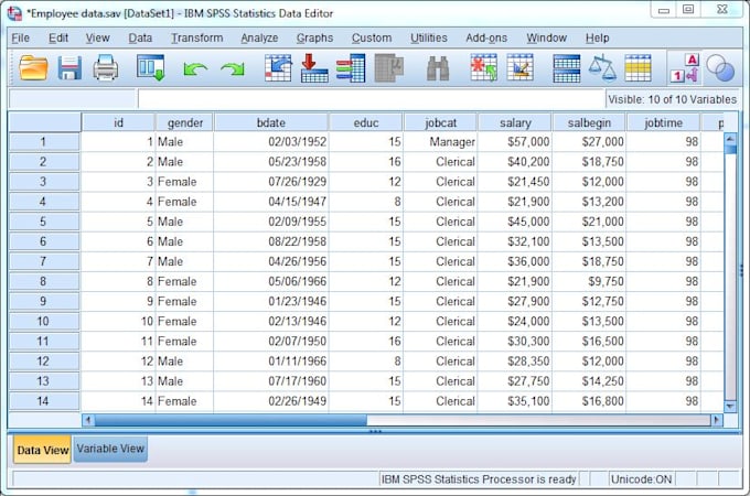 Gig Preview - Analyse the data for you using spss