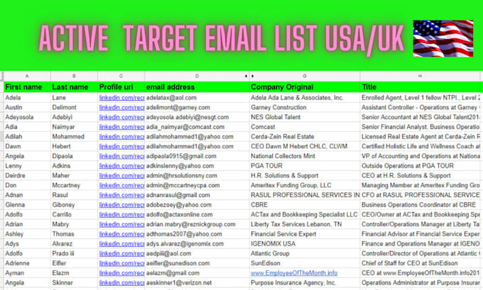 Gig Preview - Build an active and targeted email list in USA united states