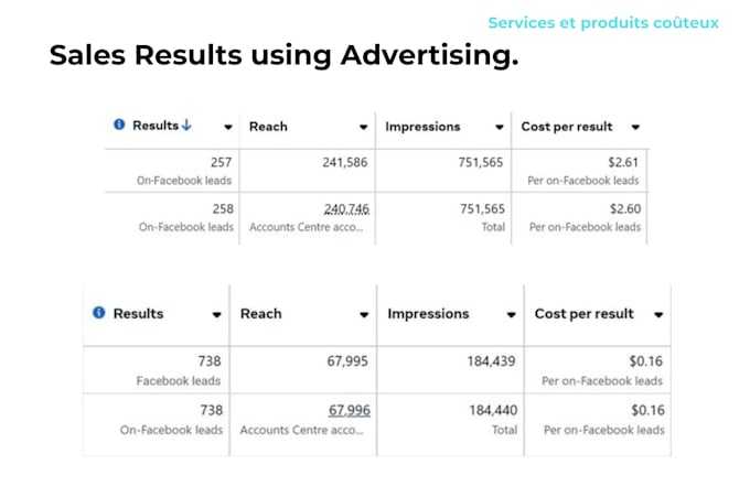 Gig Preview - Setup facebook ads campaign for leads and sales