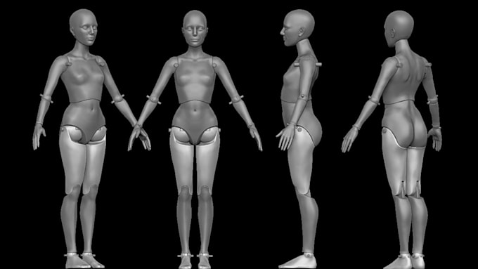 Gig Preview - Do 3d articulated model, 3d bjd, 3d toy, bjd model, 3d action figure for print