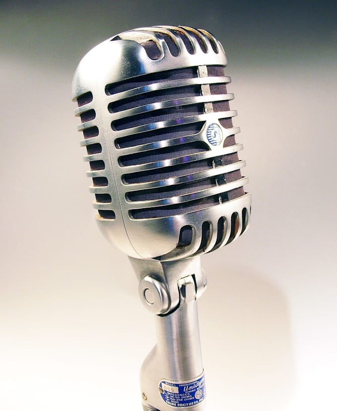 Gig Preview - Make voice over professionally