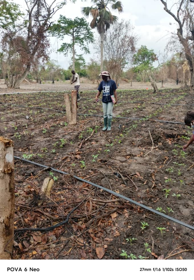 Gig Preview - Je fais de la gestion projets agricoles