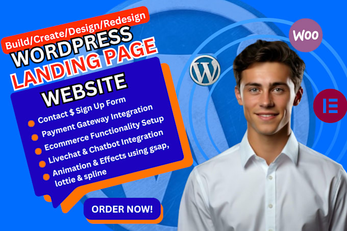 Gig Preview - Build responsiv wordpress website redesign wordpress landing page blog superfast