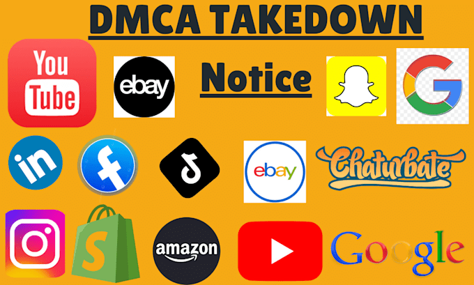 Gig Preview - Send dmca takedown notice tiktok,reddit,facebook,twitter,instagram,shopify,etsy