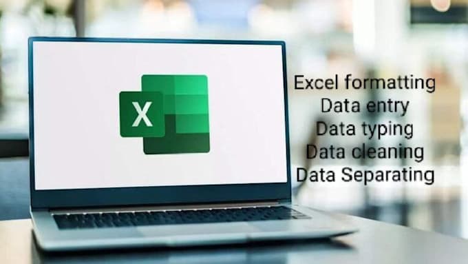 Gig Preview - Do excel data entry, cleaning and formatting