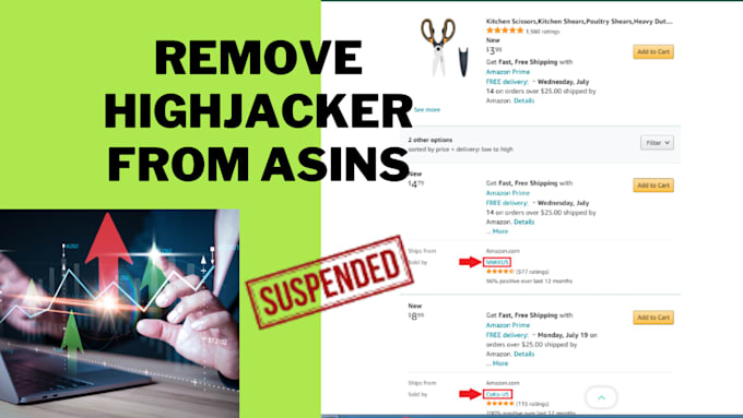 Gig Preview - Remove hijackers from your amazon asin protect your listings