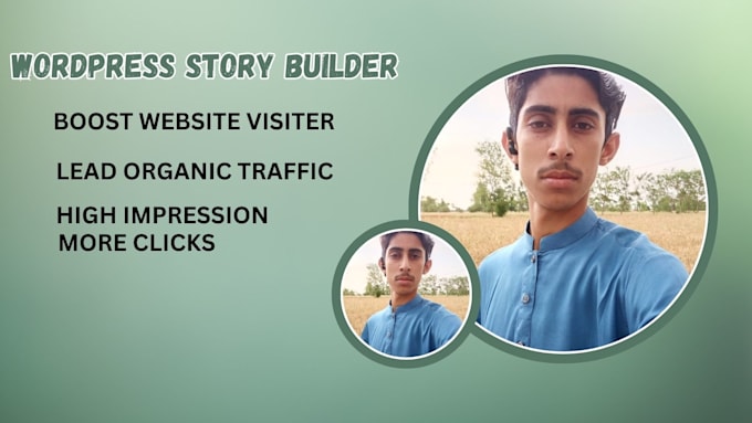 Gig Preview - Create wordpress professional stories image and vidioes