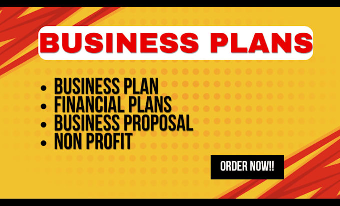 Bestseller - write detailed business plan for non profits and startup