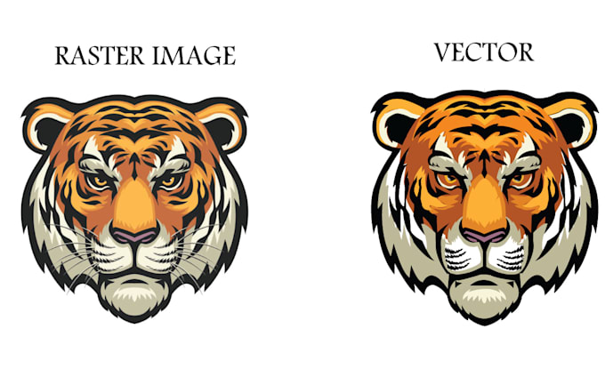 Gig Preview - Do manual vector tracing, convert logo or text to vector