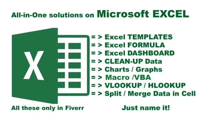 Gig Preview - Do excel data entry, formatting and cleaning