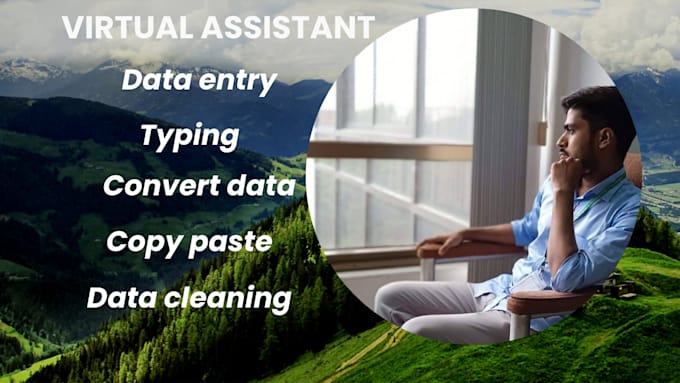 Bestseller - do excel data entry, data mining, and copy paste virtual assistant support