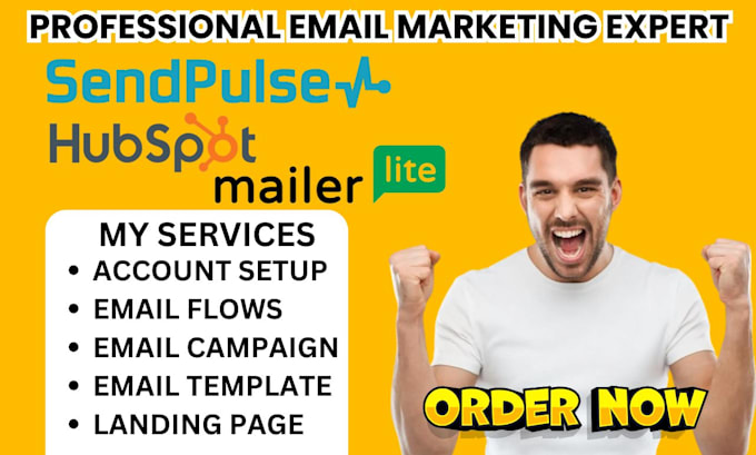 Gig Preview - Setup sendpulse mailerlite hubspot landing page automation email flows template