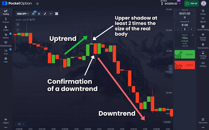 Gig Preview - Create a custom pocket option trading bot for automated profits