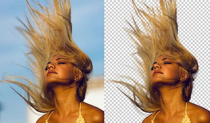 Bestseller - provide both organic and object background removal