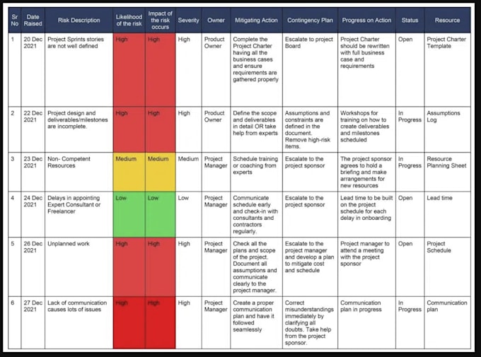 Gig Preview - End to end project risk management documentation