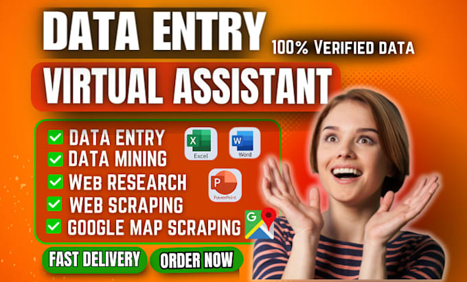 Gig Preview - Be your virtual assistant for data entry, data mining, copy paste, web research