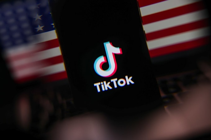 Bestseller - manage to grow and promote your tiktok followers organically