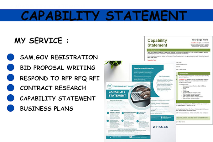 Gig Preview - Government contract capability statement, resume, business plan