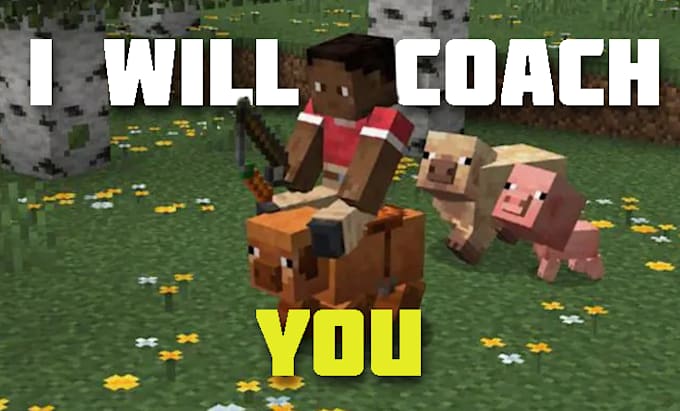 Bestseller - coach you at minecraft