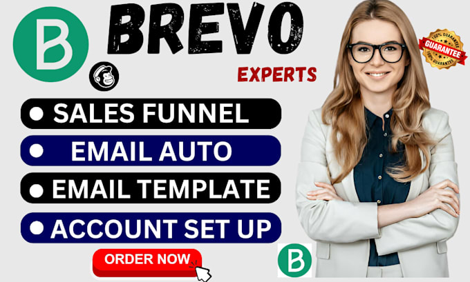 Gig Preview - Set up brevo email campaign, workflow, automation email template design on brevo