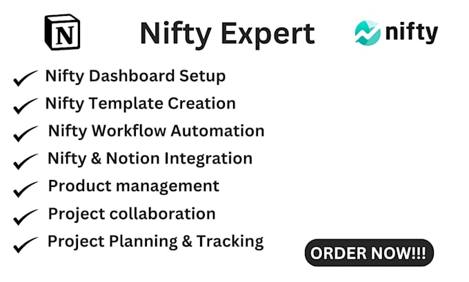 Gig Preview - Be your nifty expert to set up nifty dashboard nifty template notion