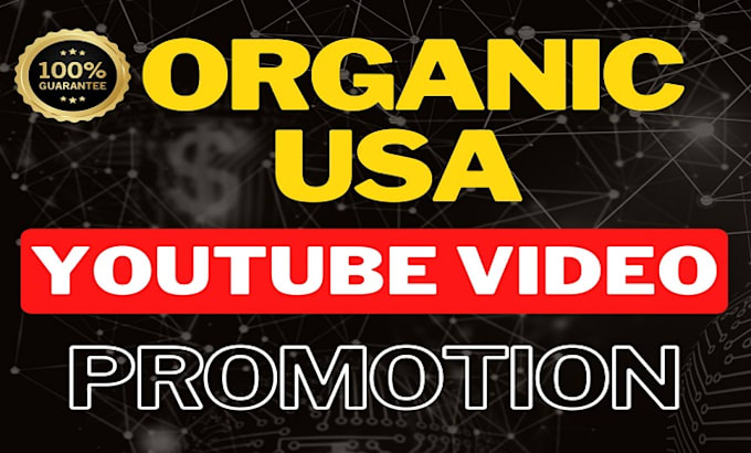 Gig Preview - Do superfast organic USA youtube video promotion for channel growth