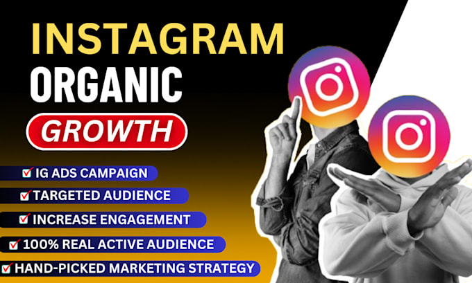 Gig Preview - Do super fast organic instagram growth with real engagement