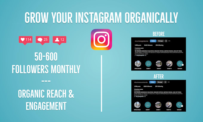 Gig Preview - Manage and promote your instagram for fast organic growth